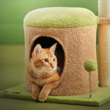 Malý domček so škrabadlom pre mačky