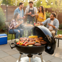 Praktický gril na drevené uhlie, 35×39×63 cm