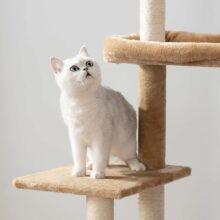 Domček a škrabadlo pre mačky / All-in-one – rustikálny hnedý
