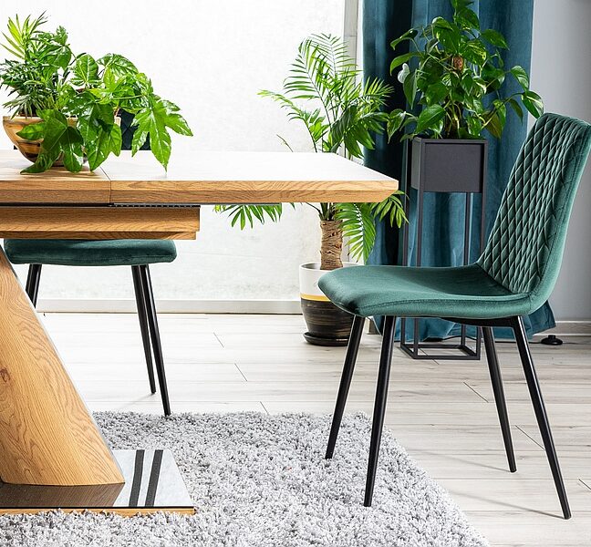 Jedálenská stolička IRIS – zelená